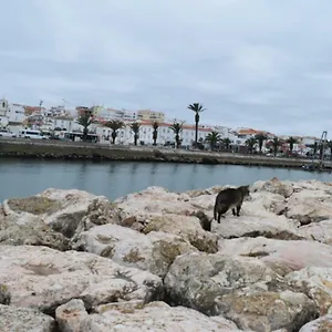  Appartement Beachcity